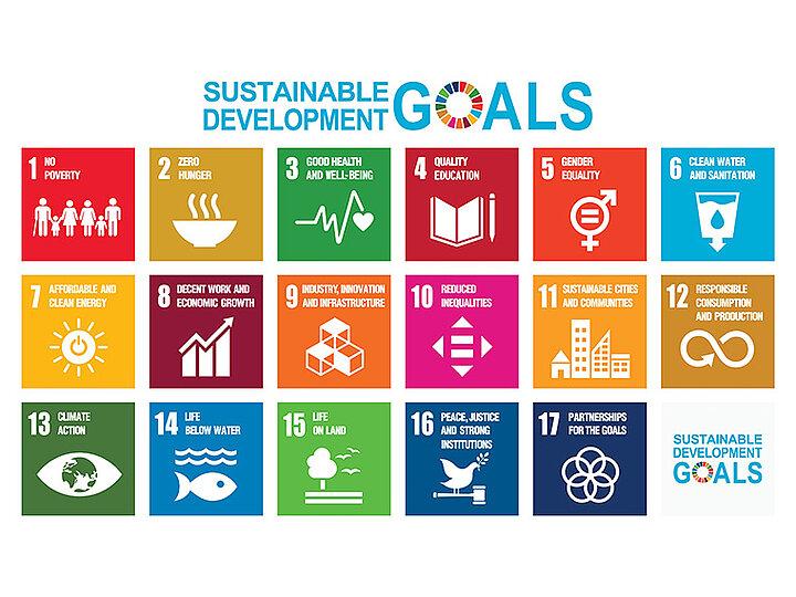 Sustainable Development Goals